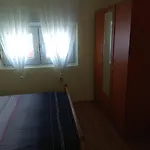 Bucic 비르